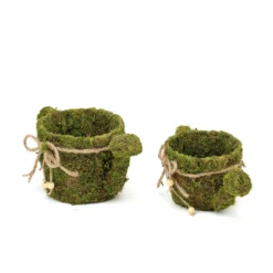 Set Of 2 | Green Watering Can Preserved Moss With Twine Planter Boxes, Flower Baskets - 11", 10" -Home Decor Promotional Store MOSS PLNT 016 GRN D09.progressive 73efdb65 c0d2 4256 ae01 9820b8b2b5ac