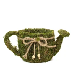 Set Of 2 | Green Watering Can Preserved Moss With Twine Planter Boxes, Flower Baskets - 11", 10" -Home Decor Promotional Store MOSS PLNT 016 GRN D10.progressive 9437d065 3c16 4733 bb56 0666f6913a58