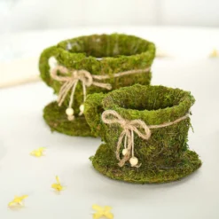 Set Of 2 | Green Teacup Preserved Moss With Twine Planter Boxes, Flower Baskets - 5", 4" -Home Decor Promotional Store MOSS PLNT 019 GRN D04.progressive 17168c56 9002 404c 84a1 0a79d59ff216