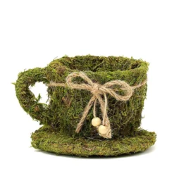 Set Of 2 | Green Teacup Preserved Moss With Twine Planter Boxes, Flower Baskets - 5", 4" -Home Decor Promotional Store MOSS PLNT 019 GRN D10.progressive ee8c088f 78d7 40be bca0 4c698d202016