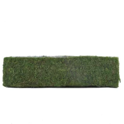 23" Green Rectangle Preserved Moss Metal Planter Box With Inner Lining, Flower Basket -Home Decor Promotional Store MOSS PLNT 021 GRN D010.progressive ff87b8b6 a8fc 4c9b baba 9b4e50f99852