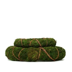 2 Pack Green Natural Preserved Moss Wreaths With Twine Twig Wrap 14" 24 2 Pack Green Natural Preserved Moss Wreaths With Twine Twig Wrap 14" -Home Decor Promotional Store MOSS WRTH 14 GRN D10