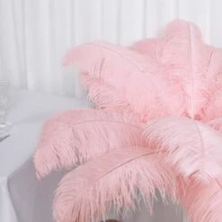 12 Pack Natural Plume Ostrich Feathers Centerpiece Filler 24"-26" -Home Decor Promotional Store OST65 054 D02.progressive bdd8697a 7375 4f5a a30a 85e18e1c10a5