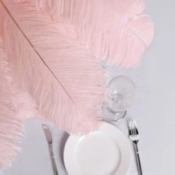 12 Pack Natural Plume Ostrich Feathers Centerpiece Filler 24"-26" -Home Decor Promotional Store OST65 054 D03.progressive 95032ea6 52d3 451f 9c0d a87f8901daa1