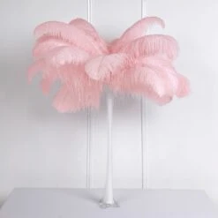 12 Pack Natural Plume Ostrich Feathers Centerpiece Filler 24"-26" -Home Decor Promotional Store OST65 054 D05.progressive c86db464 f1b3 49b2 8e28 998ef0b94355