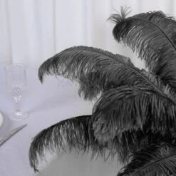 12 Pack Natural Plume Ostrich Feathers Centerpiece Filler 24"-26" -Home Decor Promotional Store OST65 BLK D04