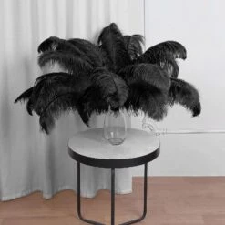 12 Pack Natural Plume Ostrich Feathers Centerpiece Filler 24"-26" -Home Decor Promotional Store OST65 BLK 01