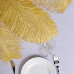 12 Pack Natural Plume Ostrich Feathers Centerpiece Filler 24"-26" -Home Decor Promotional Store OST65 GOLD D03.progressive 3fc614de 057d 4156 9b33 1c62b967ca1a