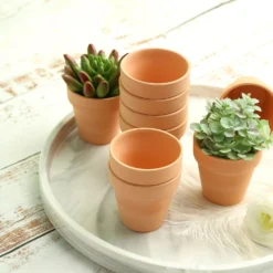 24 Pack | 2.5" Small Mini Ceramic Terracotta Cactus Pot Clay Succulent Planter -Home Decor Promotional Store PLNT CERM 001 S TERC D01.progressive 157be2b3 b1e3 430e 8360 eaca3ec8e016