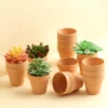 24 Pack | 2.5" Small Mini Ceramic Terracotta Cactus Pot Clay Succulent Planter