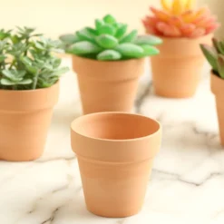 24 Pack | 2.5" Small Mini Ceramic Terracotta Cactus Pot Clay Succulent Planter -Home Decor Promotional Store PLNT CERM 001 S TERC 02.progressive 6f7f3a9a 43c8 48f8 9044 507781a332ba