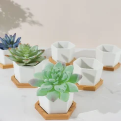 6 Pack | 3" White Geometric Hexagon Ceramic Planter Pots, Bamboo Tray Base W/ Drainage Hole, Cactus & Succulent Planters With Removable Bottom 21 6 Pack | 3" White Geometric Hexagon Ceramic Planter Pots, Bamboo Tray Base W/ Drainage Hole, Cactus & Succulent Planters With Removable Bottom -Home Decor Promotional Store PLNT CERM 004 S WHT D02.progressive bfd825ed ef14 4f78 91dd c9aa17a440bc