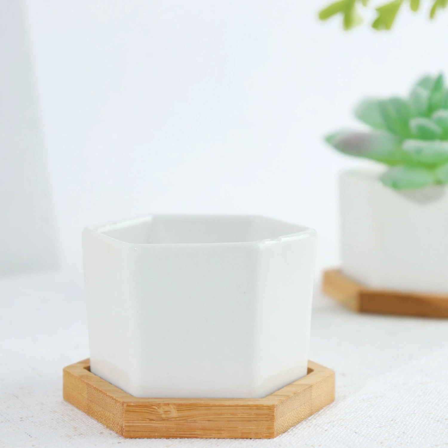 6 Pack | 3" White Geometric Hexagon Ceramic Planter Pots, Bamboo Tray Base W/ Drainage Hole, Cactus & Succulent Planters With Removable Bottom 10 6 Pack | 3" White Geometric Hexagon Ceramic Planter Pots, Bamboo Tray Base W/ Drainage Hole, Cactus & Succulent Planters With Removable Bottom - Image 10