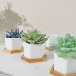 6 Pack | 3" White Geometric Hexagon Ceramic Planter Pots, Bamboo Tray Base W/ Drainage Hole, Cactus & Succulent Planters With Removable Bottom 25 6 Pack | 3" White Geometric Hexagon Ceramic Planter Pots, Bamboo Tray Base W/ Drainage Hole, Cactus & Succulent Planters With Removable Bottom -Home Decor Promotional Store PLNT CERM 004 S WHT D07.progressive 80e4fa48 dff0 47c1 a184 15c542c781d9