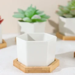 6 Pack | 3" White Geometric Hexagon Ceramic Planter Pots, Bamboo Tray Base W/ Drainage Hole, Cactus & Succulent Planters With Removable Bottom