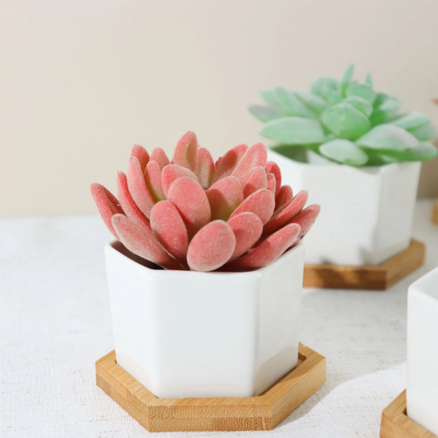 6 Pack | 3" White Geometric Hexagon Ceramic Planter Pots, Bamboo Tray Base W/ Drainage Hole, Cactus & Succulent Planters With Removable Bottom 5 6 Pack | 3" White Geometric Hexagon Ceramic Planter Pots, Bamboo Tray Base W/ Drainage Hole, Cactus & Succulent Planters With Removable Bottom - Image 5