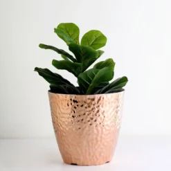 11" Hammered Design Large Indoor Flower Plant Pot, Decorative Greenery Planter -Home Decor Promotional Store PLNT PLST 002 L 054 02.progressive 614212a8 38fe 40a8 bddf 77a56a50396d
