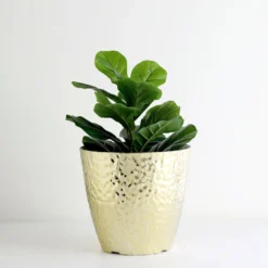 11" Hammered Design Large Indoor Flower Plant Pot, Decorative Greenery Planter -Home Decor Promotional Store PLNT PLST 002 L GOLD 02.progressive c32bd7e6 ab5d 48bb b1ad d6fcafdd59a8