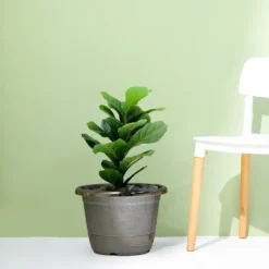 14" Shiny Finished Rim Large Barrel Planter Pot, Indoor/Outdoor Decorative Flower Pot -Home Decor Promotional Store PLNT PLST 003 L 044 D02