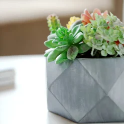 7" Gray Finished Concrete Geometric Planter, Mini Cement Succulent Flower Pot -Home Decor Promotional Store PLNT RSN 001 4 CEM D04.progressive 9cb87c33 e03b 4456 bb41 880bb6a67584