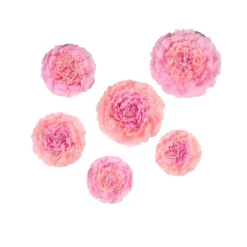 6 Multi Size Pack | Carnation 3D Wall Flowers Giant Tissue Paper Flowers - 12",16",20" -Home Decor Promotional Store POM FLO04 1220 046 99.progressive 17e6aaa2 903b 4706 8c05 924e656a60de