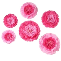 6 Multi Size Pack | Carnation 3D Wall Flowers Giant Tissue Paper Flowers - 12",16",20" -Home Decor Promotional Store POM FLO04 1220 PINK 99