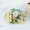 10"x5" Clear / Gold Acrylic Transparent Geometric Pedestal Riser Box, Hexagonal Cake Stand Display With Hollow Bottom