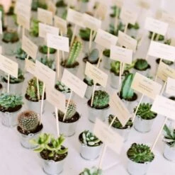 3 Pack Ceramic Planter Pot And Artificial Spot Aloe Succulent Plant 5" 29 3 Pack Ceramic Planter Pot And Artificial Spot Aloe Succulent Plant 5" -Home Decor Promotional Store Succulent 2 9057bdb5 c0ec 4f67 9cfa 365e8df626e5