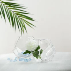 2 Pack Clear Geometric Glass Flower Vases, Table Top Prism Terrariums Vases -Home Decor Promotional Store VASE A30 5 D06.progressive 6fcc6b70 8ac3 47c9 9c36 1c20eecceeda
