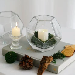 2 Pack Clear Geometric Glass Flower Vases, Table Top Prism Terrariums Vases -Home Decor Promotional Store VASE A30 5 D19.progressive f4b0dbae 9239 462f 9b20 7637e2977d31