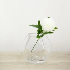 2 Pack Clear Geometric Glass Flower Vases, Table Top Prism Terrariums Vases -Home Decor Promotional Store VASE A30 5 01