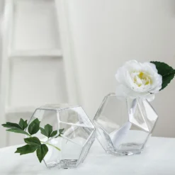 2 Pack Clear Geometric Glass Flower Vases, Table Top Prism Terrariums Vases -Home Decor Promotional Store VASE A30 7 01