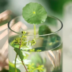 12 Pack | 10" Heavy Duty Cylinder Glass Vase -Home Decor Promotional Store VASE A3 10 D09.progressive 6061f0fd f94a 43b5 b2d2 42c3647ed372