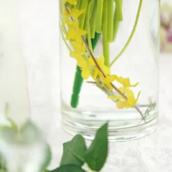 6 Pack | Round Heavy Duty Clear Cylinder Glass Vases, Tall Flower Vase -Home Decor Promotional Store VASE A3 12 D03.progressive 05b9d2a6 b633 4fb3 be15 4a6e2481f87f