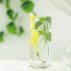 6 Pack | Round Heavy Duty Clear Cylinder Glass Vases, Tall Flower Vase -Home Decor Promotional Store VASE A3 12 D08.progressive 3bef5ba4 1be5 4627 a8f7 ba23029001bf