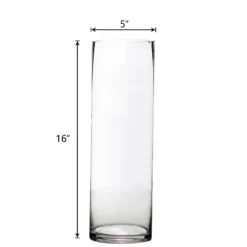 6 Pack | Round Heavy Duty Clear Cylinder Glass Vases, Tall Flower Vase -Home Decor Promotional Store VASE A3 16 99 M.progressive 5b6d8bd9 c96b 4eef 8393 25472dd2d9a6