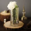 2 Pack | Striped Cylinder Glass Vase Flower Centerpieces
