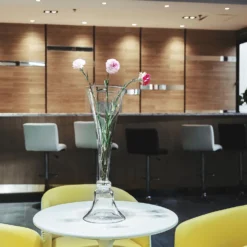 Set Of 2 | Tall Clear Reversible Clarinet Glass Trumpet Vases -Home Decor Promotional Store VASE A72 28 CLR D05.progressive 389200dc c5af 467f 8296 64426d61aaea