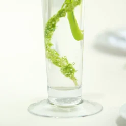 6 Pack | Clear Heavy Duty Trumpet Glass Vase -Home Decor Promotional Store VASE A8 24 D04