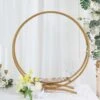Gold Metal Double Frame Hoop Flower Table Centerpiece, Dessert Display Stand 24"