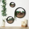 Set Of 3 | Half Moon Wall Planters, Round Metal Wall Hanging Planter, Modern Indoor/Outdoor Terrarium - 6"|8"|12"