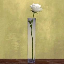 6 Pack | Heavy Duty Square Glass Cylinder Vases, Clear Glass Flower Vase -Home Decor Promotional Store tall glass sqaure flower vase 24